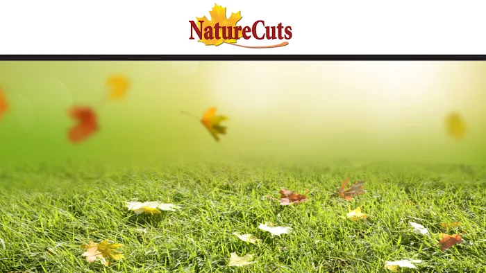 Nature Cuts, Inc. Picture 7