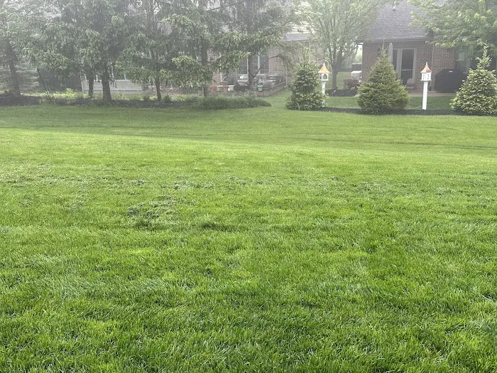 Nature Cuts, Inc. Picture 3