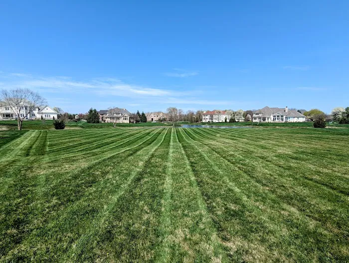 Ivy Rose Lawns Picture 5