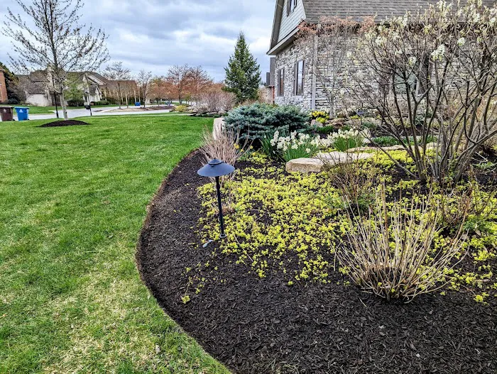 Ivy Rose Lawns Picture 2