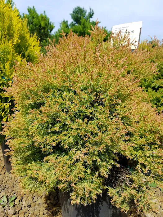Four Seasons Landscaping Nursery Picture 5