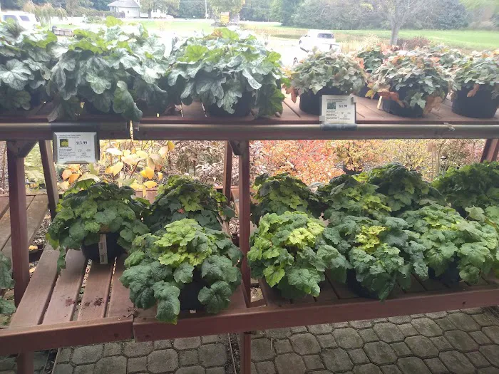 Four Seasons Landscaping Nursery Picture 10