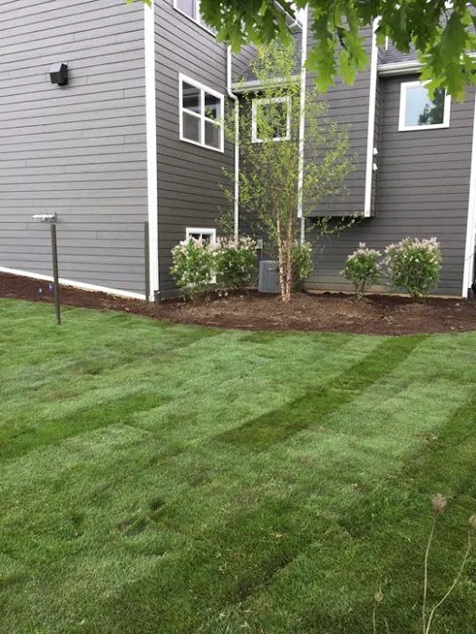 Michael's Lawn Care & Landscaping Picture 3