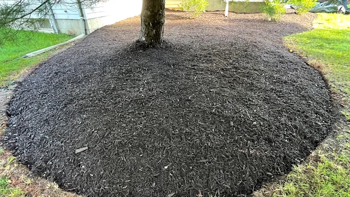 J.E. Landscaping Picture 3