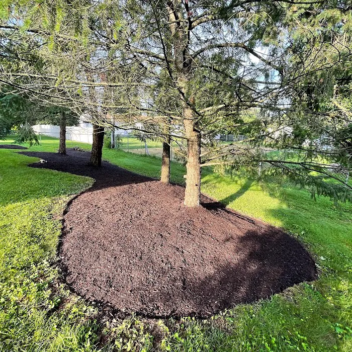 J.E. Landscaping Picture 10