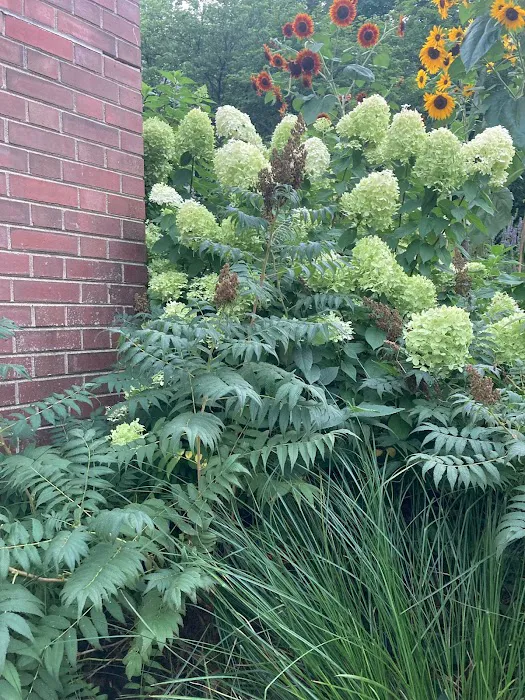 Green Plumb Garden Design Picture 3