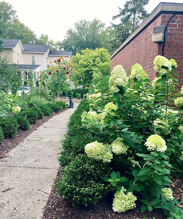 Green Plumb Garden Design Picture 10