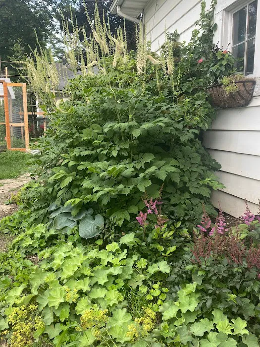 Green Plumb Garden Design Picture 9