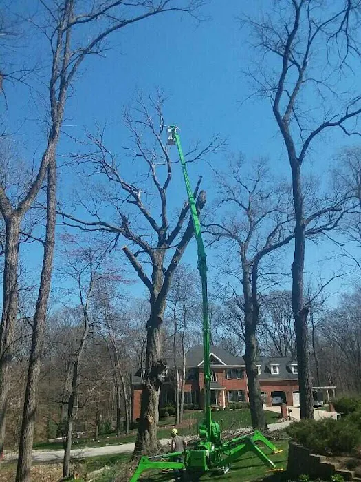 Edmonds Tree Service Picture 5