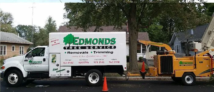 Edmonds Tree Service Picture 6