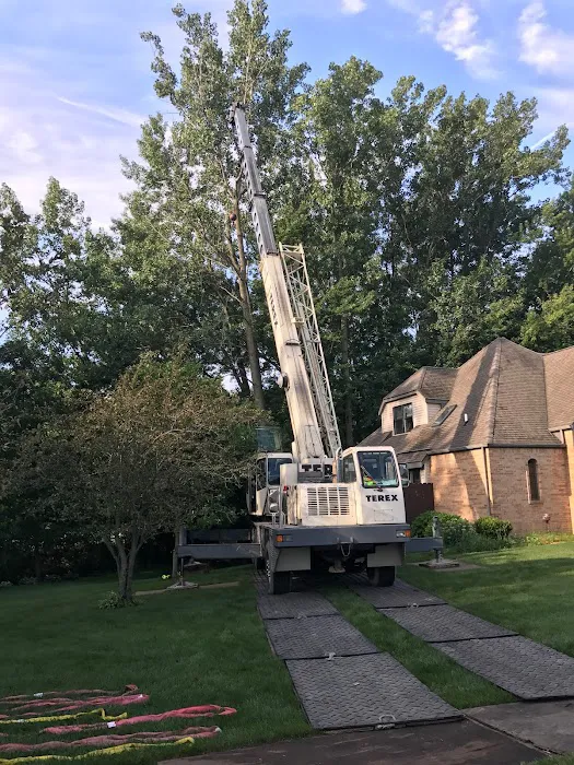 Edmonds Tree Service Picture 7