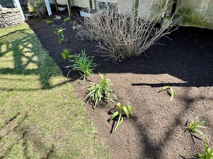 Del Real's Landscaping Picture 7