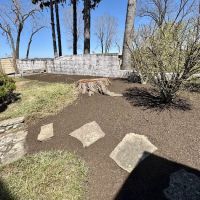 Del Real's Landscaping ico