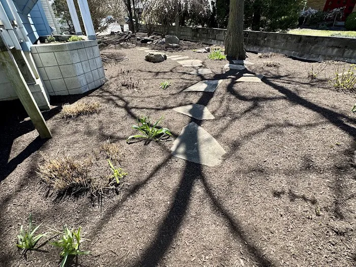 Del Real's Landscaping Picture 3