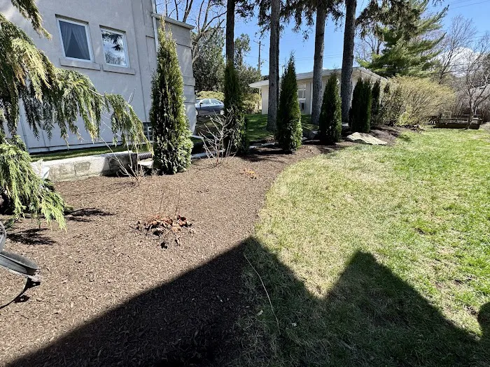 Del Real's Landscaping Picture 10