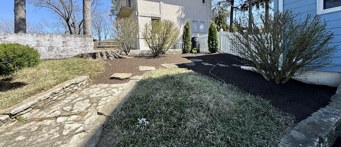 Del Real's Landscaping Picture 5