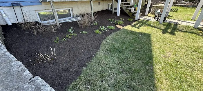 Del Real's Landscaping Picture 4