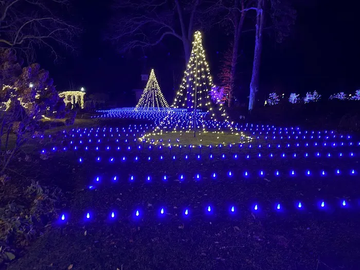 Landscape Illumination Picture 10