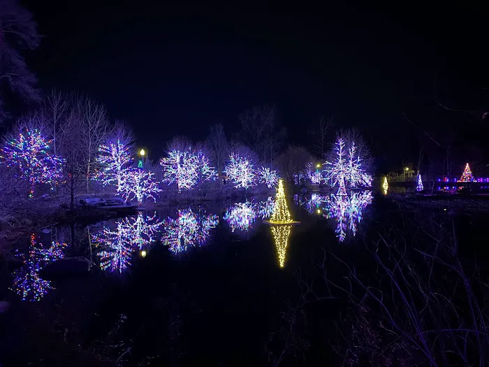 Landscape Illumination Picture 5