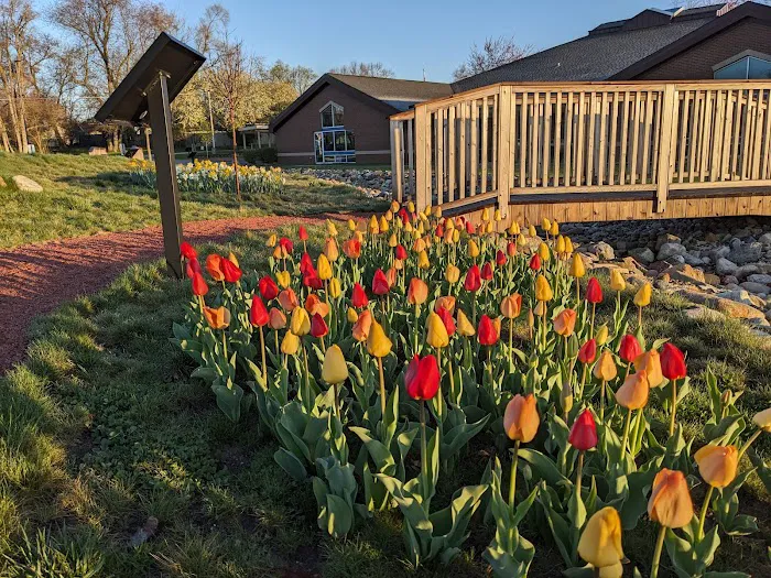 Countryside Landscaping Picture 3