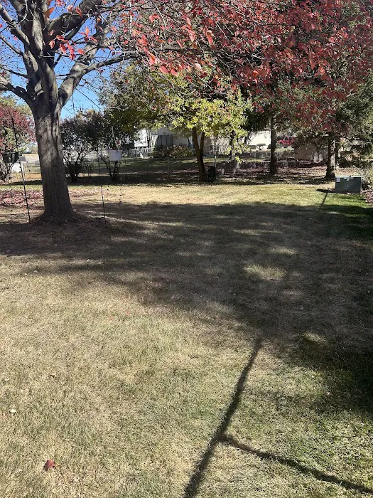 Green atrium land care landscape snow removal Picture 10