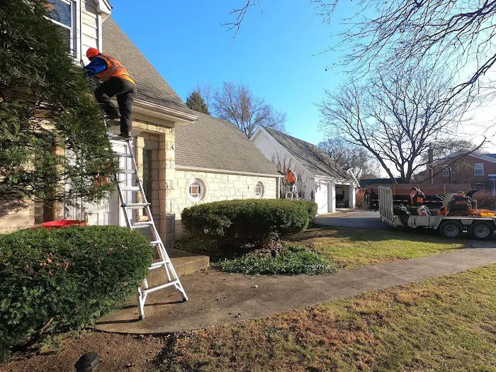 D and G Landscaping and Snow Removal Picture 3