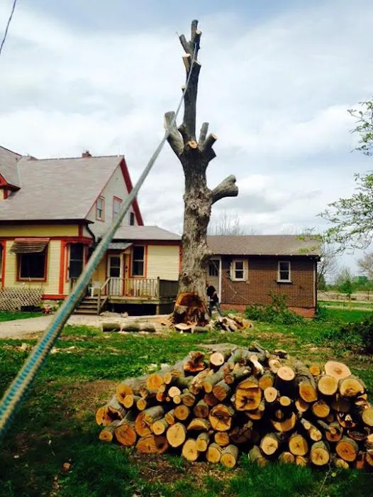 Busted Knuckles Landscaping, L.L.C. Picture 5