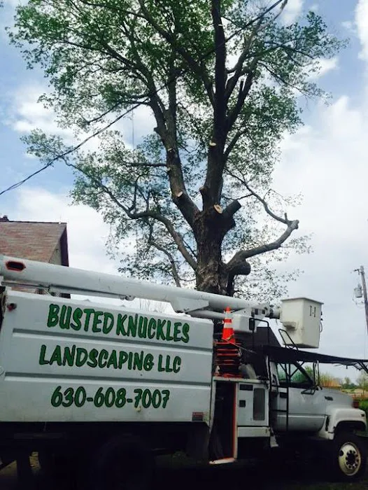 Busted Knuckles Landscaping, L.L.C. Picture 2