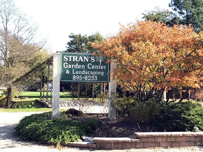 Stran's Garden Center & Landscaping Picture 9