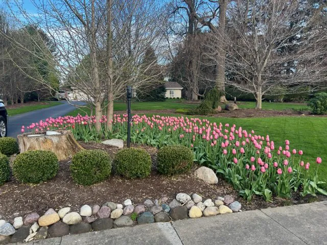 Stran's Garden Center & Landscaping Picture 5