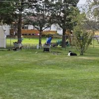 Stran's Garden Center & Landscaping ico