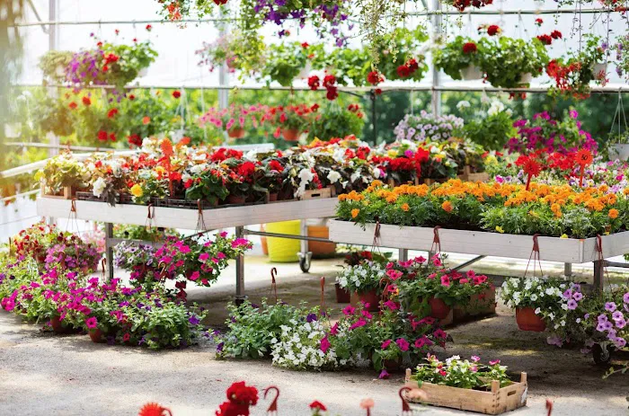 Stran's Garden Center & Landscaping Picture 10
