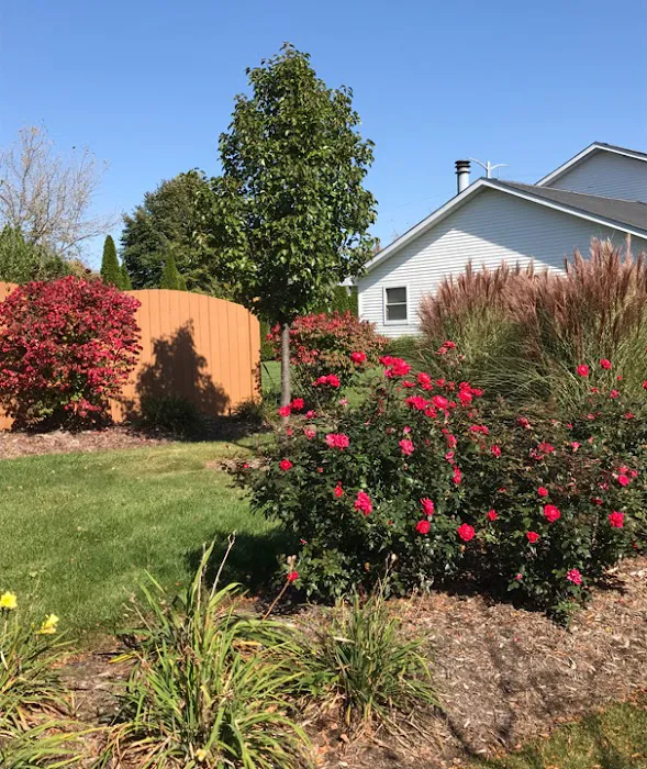 Stran's Garden Center & Landscaping Picture 8