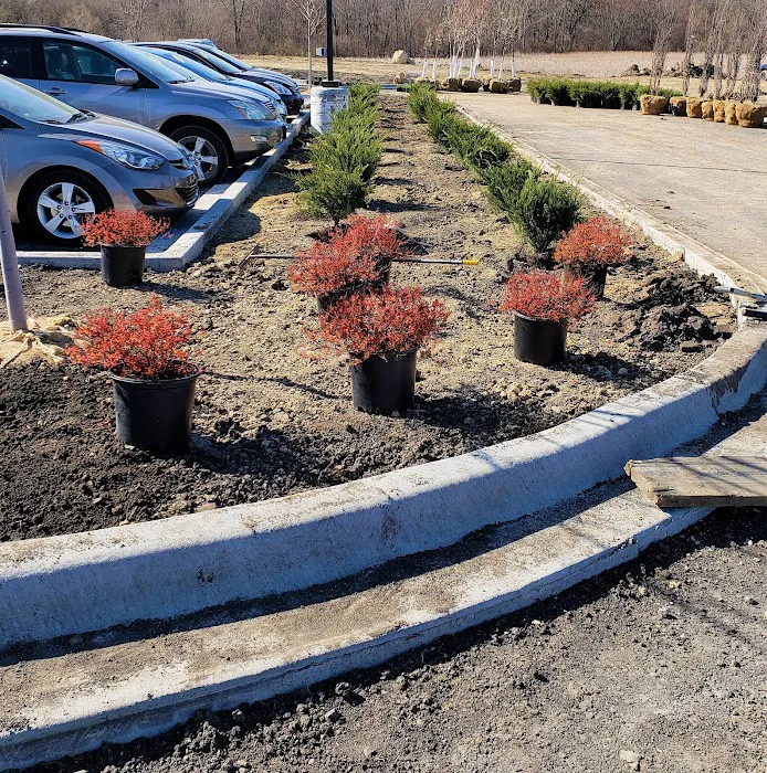 Treescape Solutions Inc Picture 4
