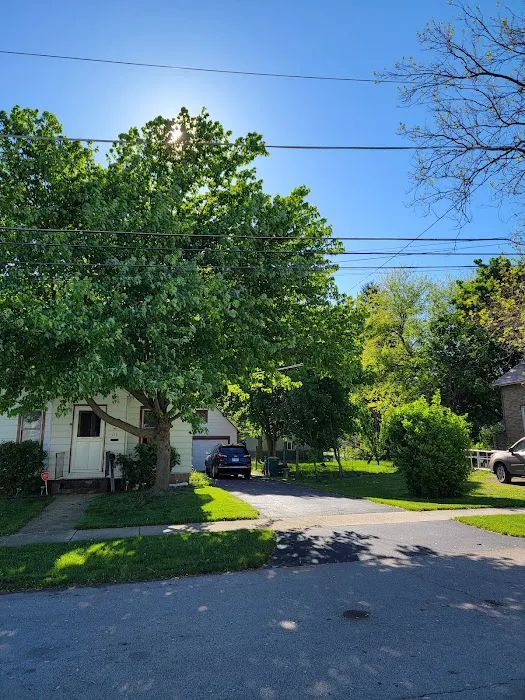 Treescape Solutions Inc Picture 2
