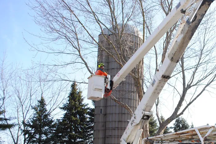 Treescape Solutions Inc Picture 8