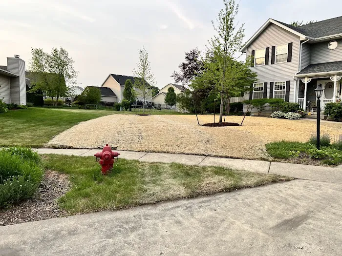Gamez Lawn Service & Landscaping Picture 3