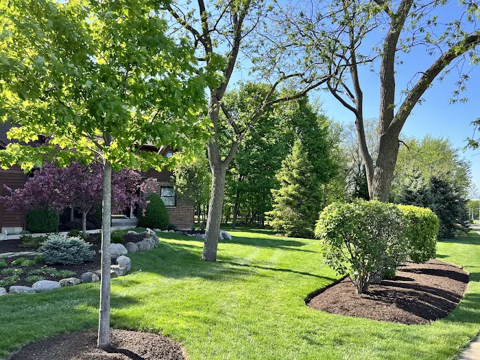 Gamez Lawn Service & Landscaping Picture 8
