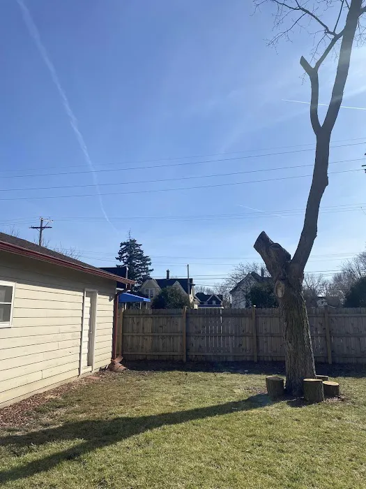 Hernandez Landscape & Tree Service LLC Picture 4