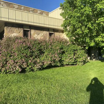Hernandez Landscape & Tree Service LLC Picture 8