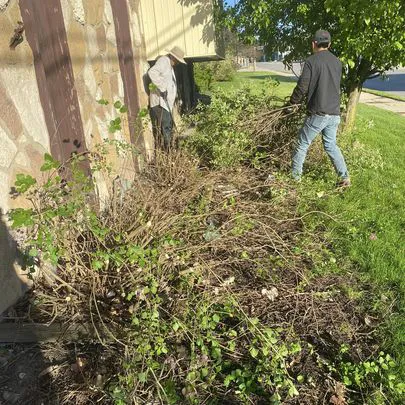 Hernandez Landscape & Tree Service LLC Picture 3