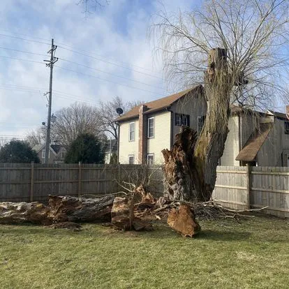 Hernandez Landscape & Tree Service LLC Picture 6