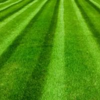 DeKalb-Sycamore Lawn Care ico