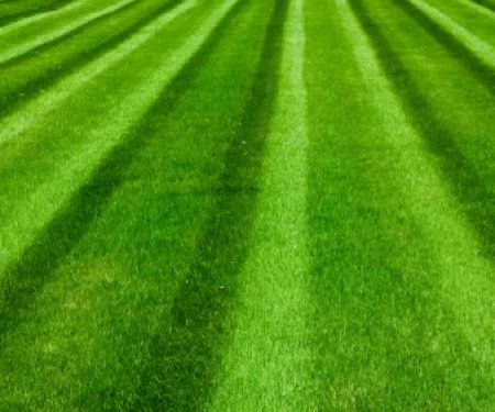 DeKalb-Sycamore Lawn Care