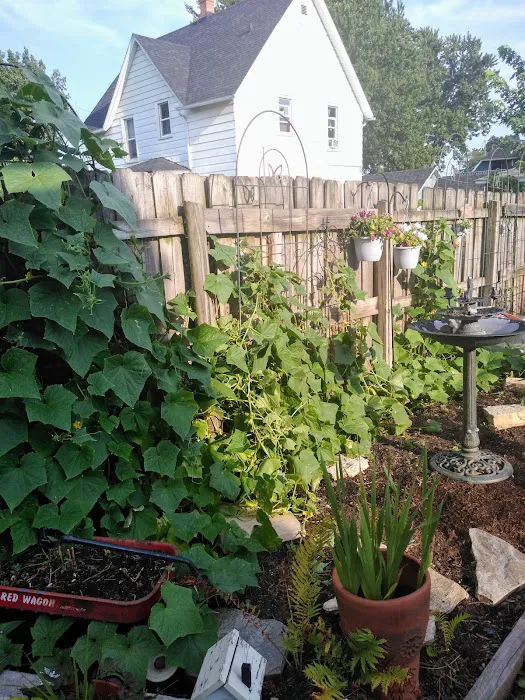 DeKalb-Sycamore Lawn Care Picture 7