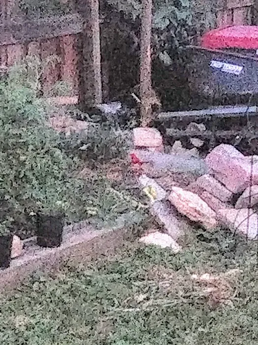 DeKalb-Sycamore Lawn Care Picture 5
