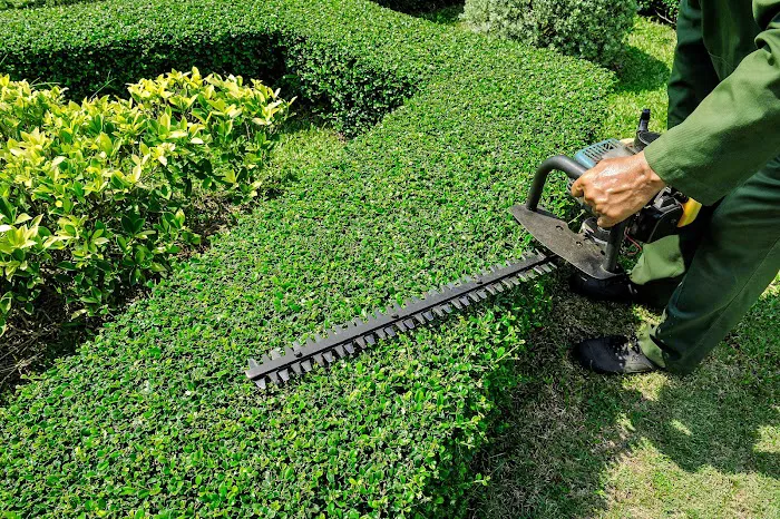 DeKalb-Sycamore Lawn Care Picture 6