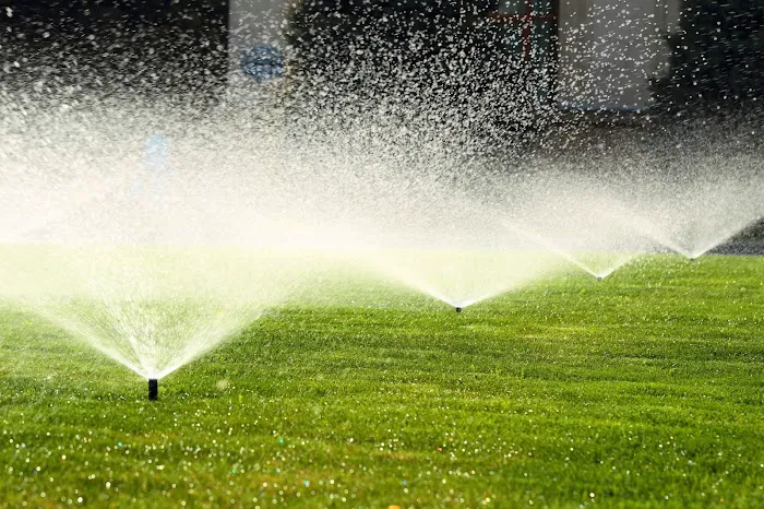 DeKalb-Sycamore Lawn Care Picture 10
