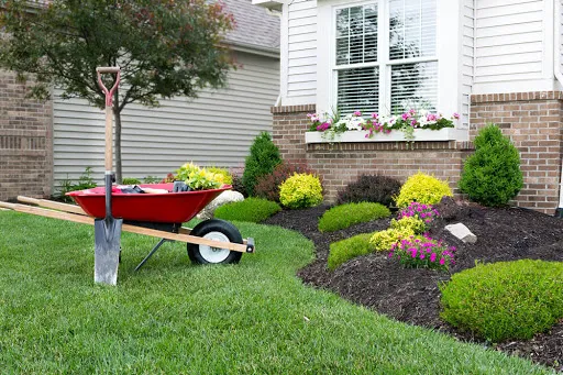 J.Bello Landscaping & lawn care -we have insurance Picture 6