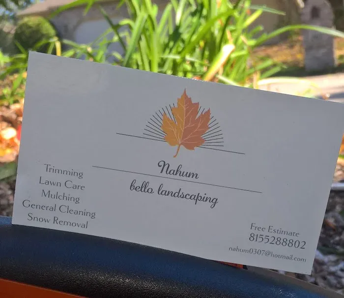 J.Bello Landscaping & lawn care -we have insurance Picture 7